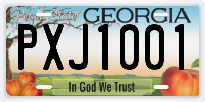 GA license plate PXJ1001
