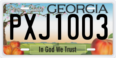 GA license plate PXJ1003