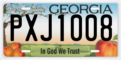 GA license plate PXJ1008