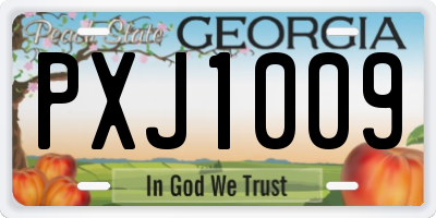 GA license plate PXJ1009