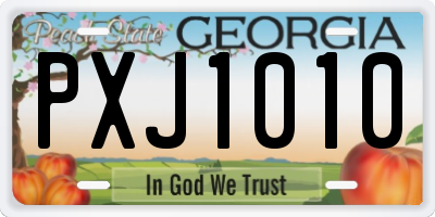 GA license plate PXJ1010