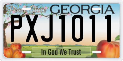 GA license plate PXJ1011