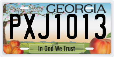 GA license plate PXJ1013