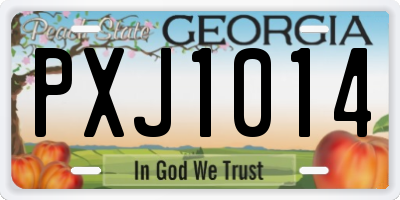 GA license plate PXJ1014