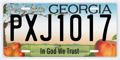 GA license plate PXJ1017