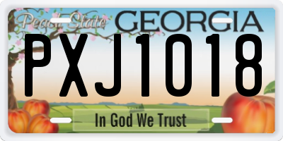 GA license plate PXJ1018
