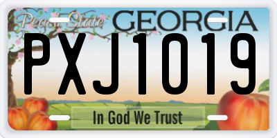 GA license plate PXJ1019
