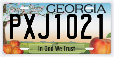 GA license plate PXJ1021