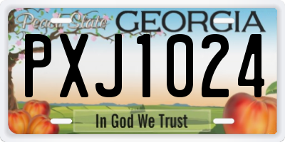 GA license plate PXJ1024