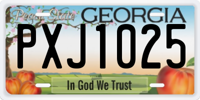 GA license plate PXJ1025