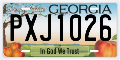GA license plate PXJ1026