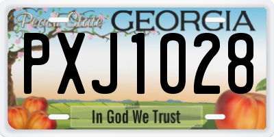 GA license plate PXJ1028