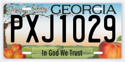 GA license plate PXJ1029