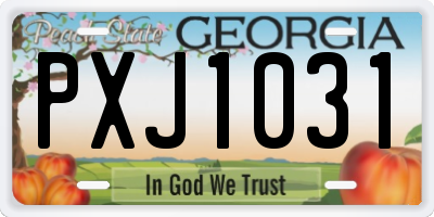 GA license plate PXJ1031