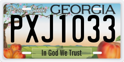 GA license plate PXJ1033