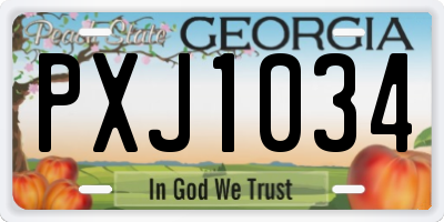 GA license plate PXJ1034