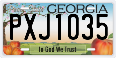 GA license plate PXJ1035