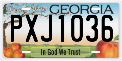 GA license plate PXJ1036