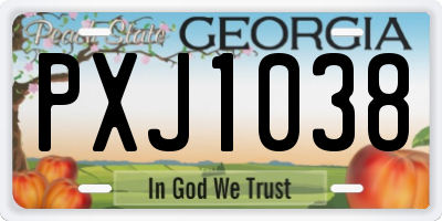 GA license plate PXJ1038