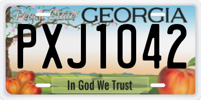 GA license plate PXJ1042