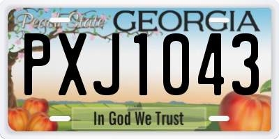 GA license plate PXJ1043