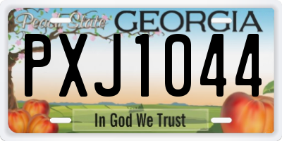 GA license plate PXJ1044