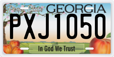 GA license plate PXJ1050