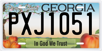GA license plate PXJ1051