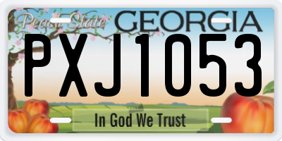 GA license plate PXJ1053
