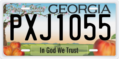 GA license plate PXJ1055
