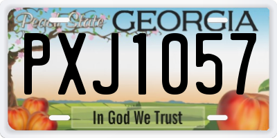 GA license plate PXJ1057