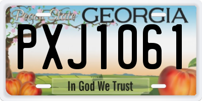 GA license plate PXJ1061