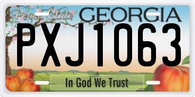 GA license plate PXJ1063
