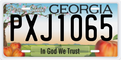 GA license plate PXJ1065