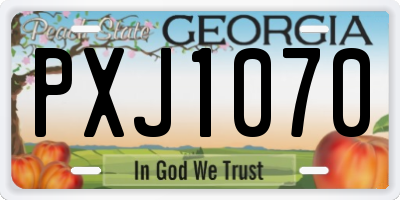 GA license plate PXJ1070