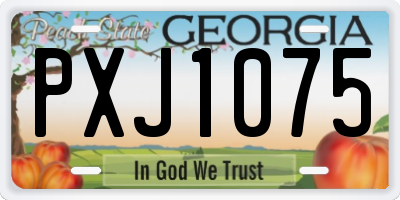 GA license plate PXJ1075