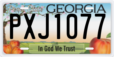 GA license plate PXJ1077