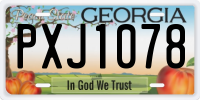 GA license plate PXJ1078