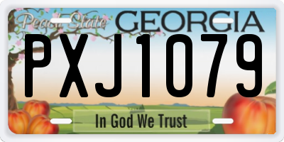 GA license plate PXJ1079