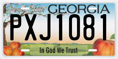 GA license plate PXJ1081