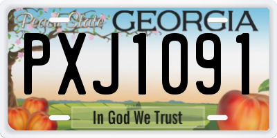 GA license plate PXJ1091