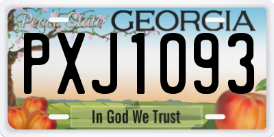 GA license plate PXJ1093