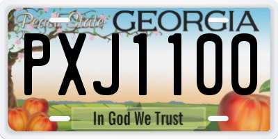 GA license plate PXJ1100