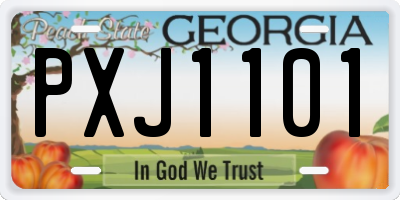 GA license plate PXJ1101