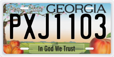 GA license plate PXJ1103
