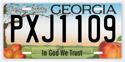 GA license plate PXJ1109