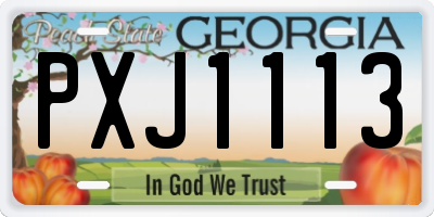 GA license plate PXJ1113