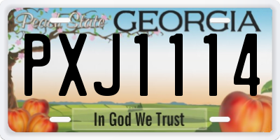 GA license plate PXJ1114