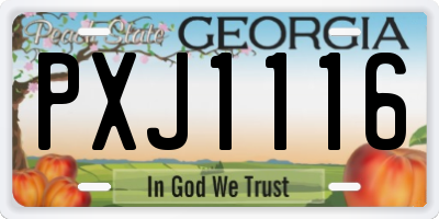 GA license plate PXJ1116