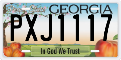 GA license plate PXJ1117